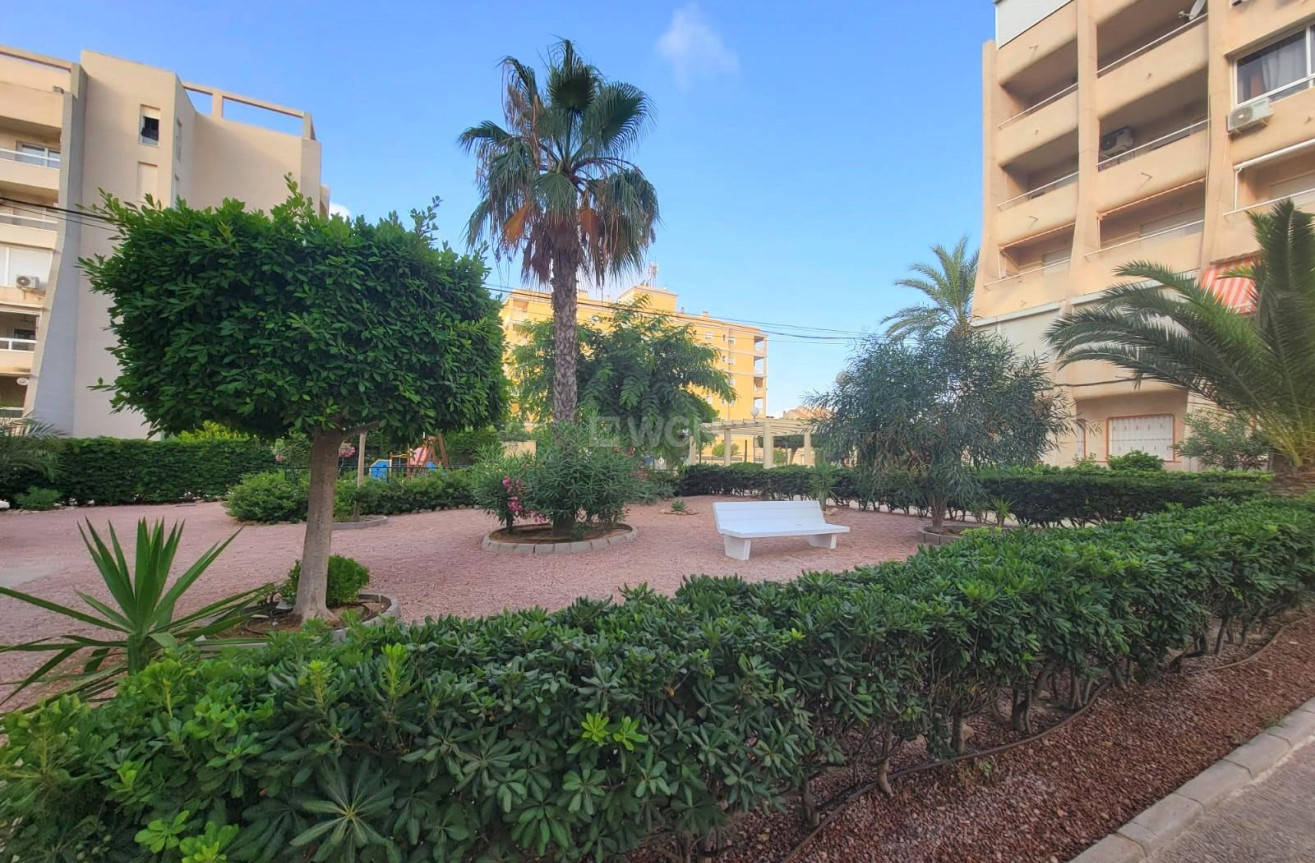 Resale - Apartment / flat - Torrevieja - aguas nuevas