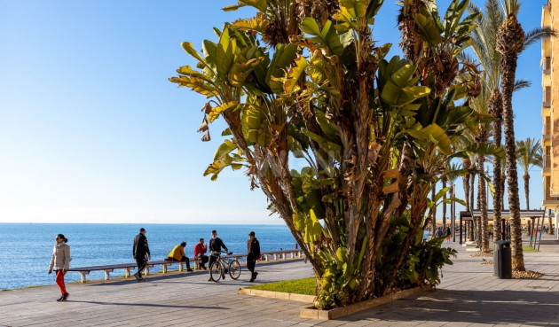 Resale - Apartment / flat - Torrevieja - Costa Blanca