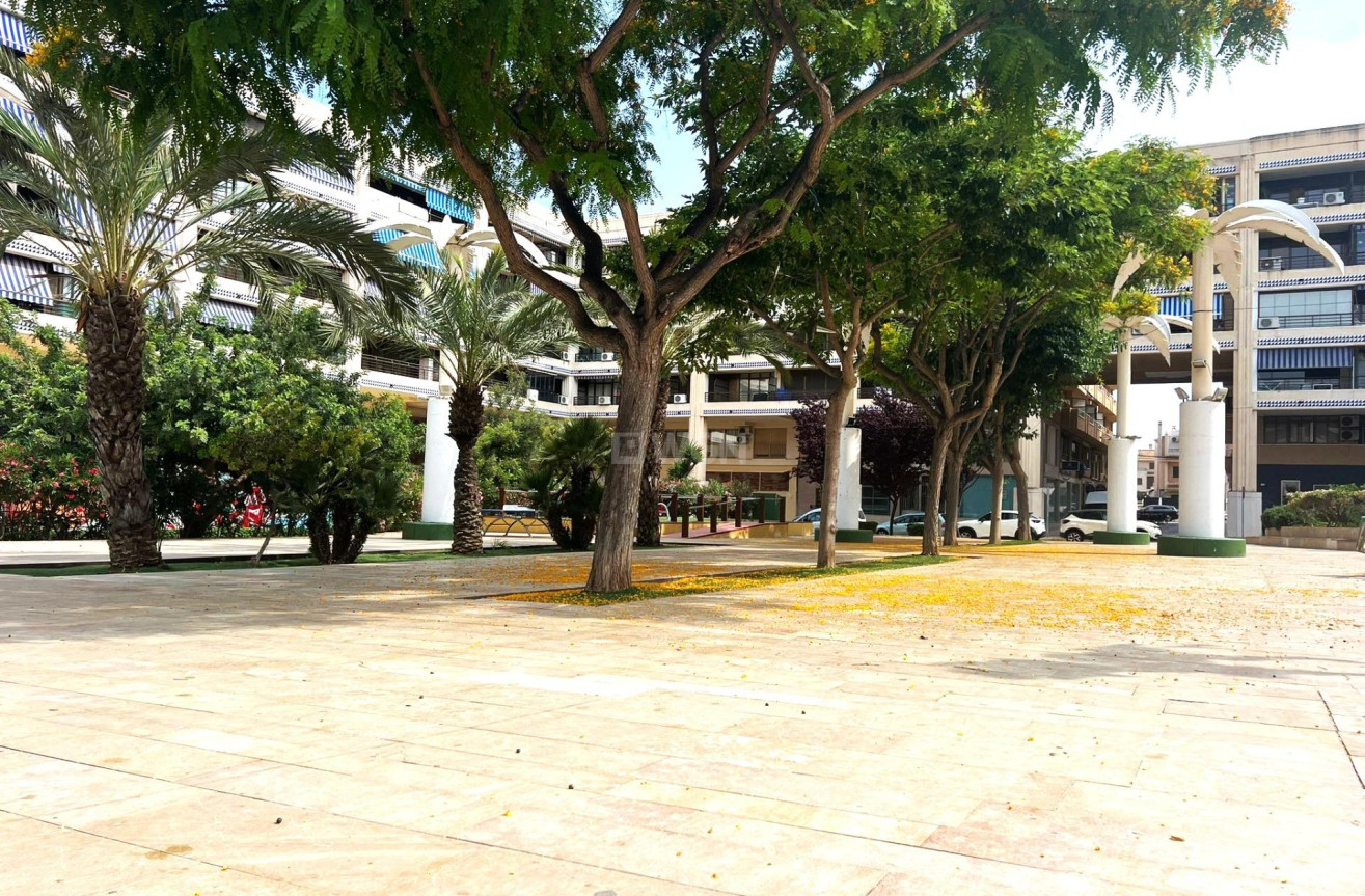 Resale - Apartment / flat - Guardamar del Segura - Pueblo