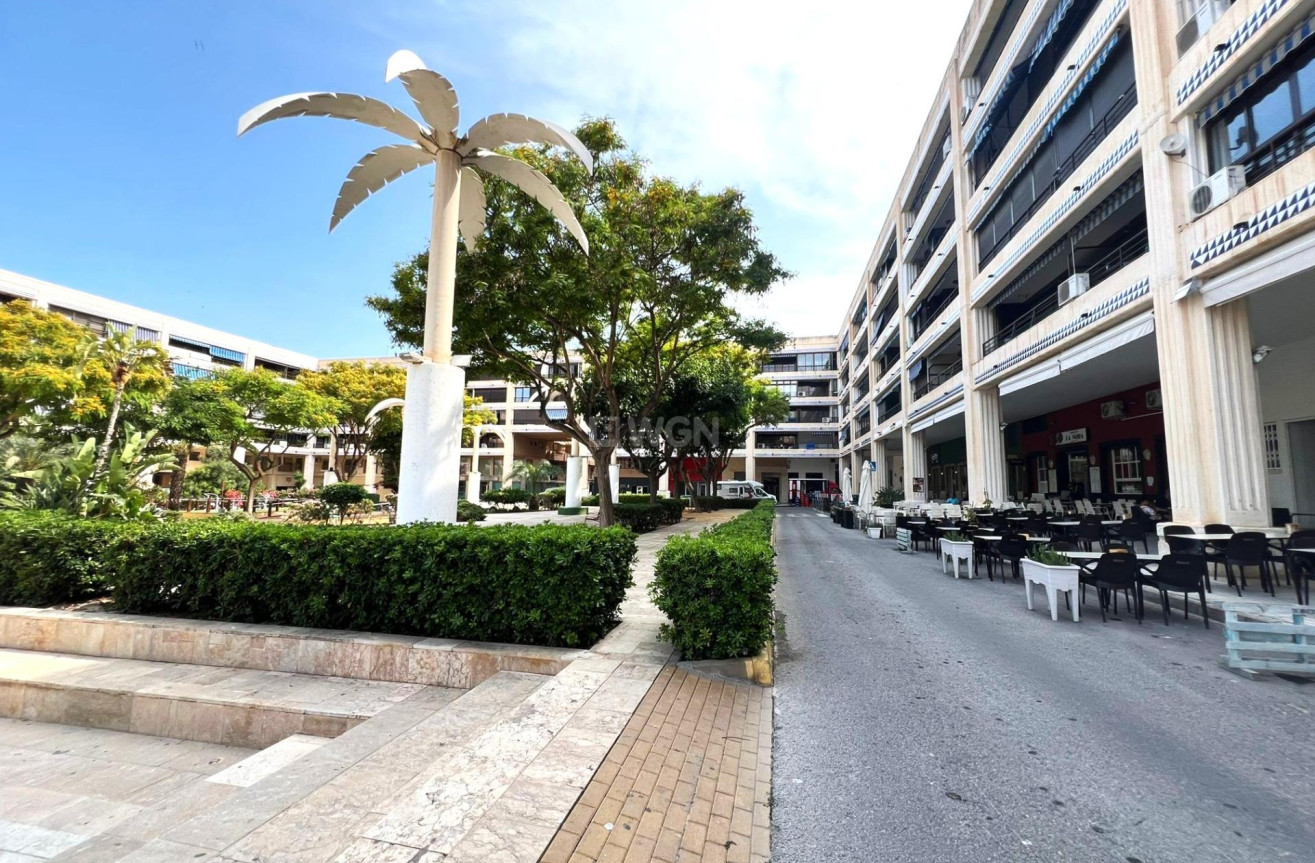 Resale - Apartment / flat - Guardamar del Segura - Pueblo