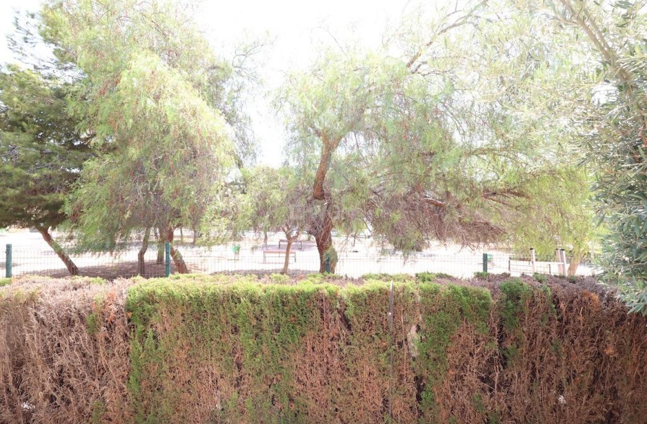 Odsprzedaż - Bungalow - Orihuela Costa - Costa Blanca