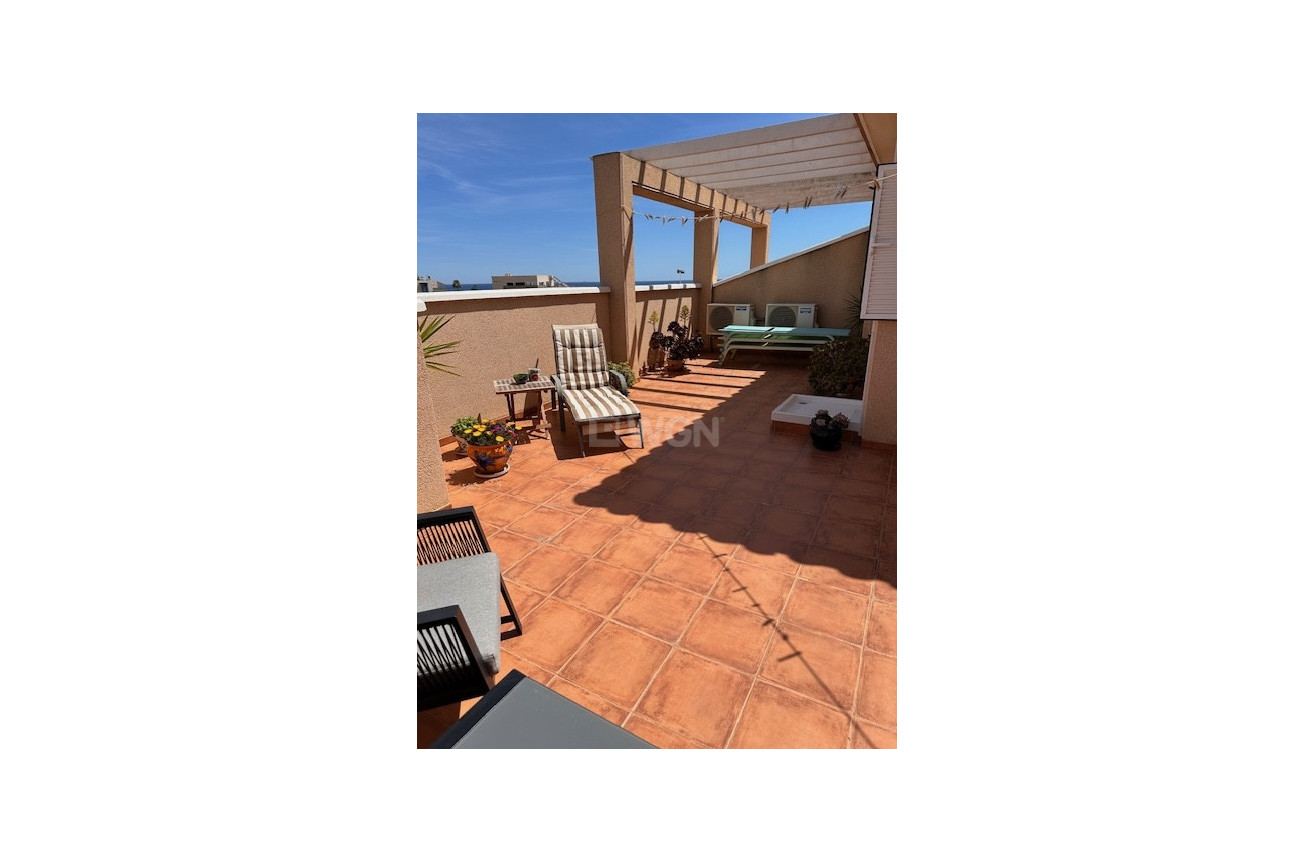 Wiederverkauf - Wohnung - La Zenia - Costa Blanca