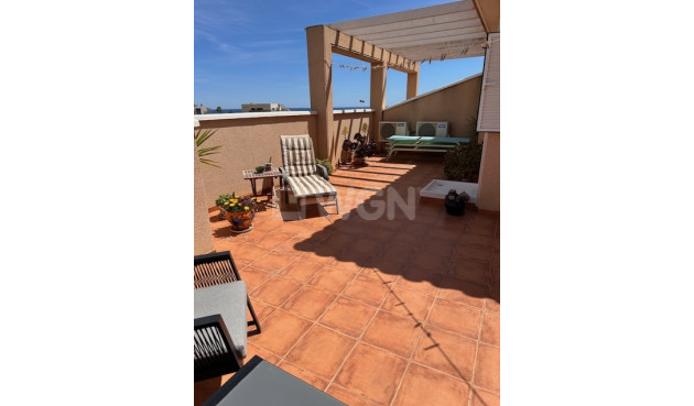 Wiederverkauf - Wohnung - La Zenia - Costa Blanca