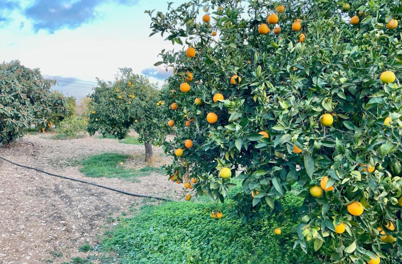 Resale - Villa - Benidorm - Salto Del Agua