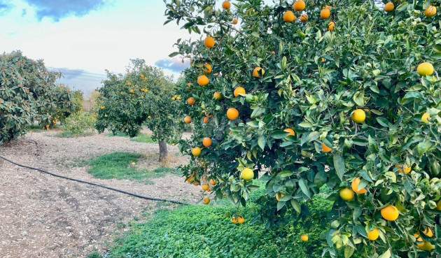 Resale - Villa - Benidorm - Salto Del Agua