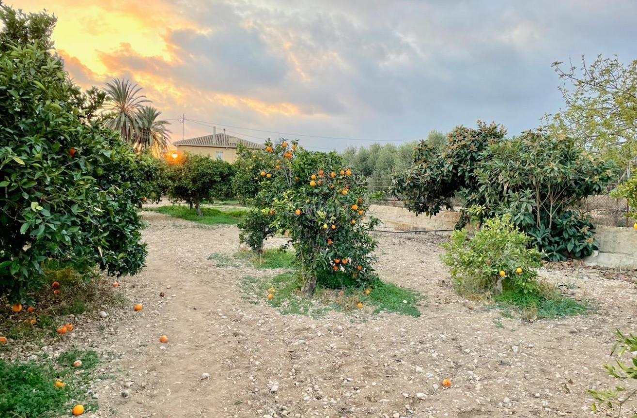 Resale - Villa - Benidorm - Salto Del Agua