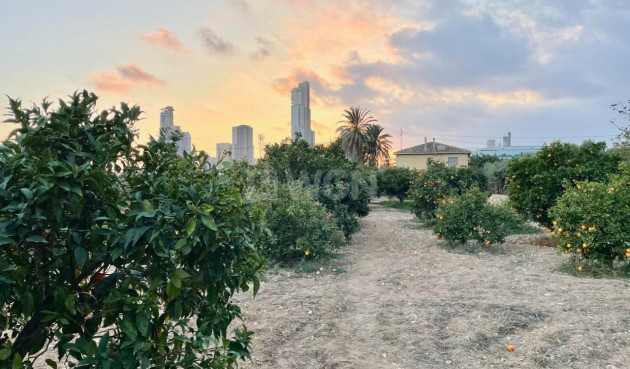 Resale - Villa - Benidorm - Salto Del Agua