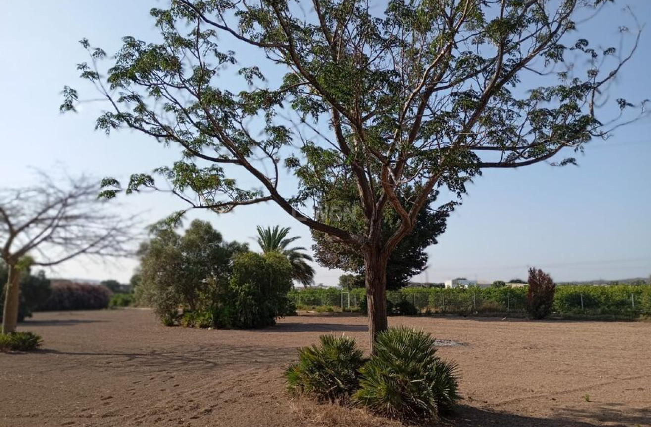 Wiederverkauf - Villa - Daya Nueva - Costa Blanca