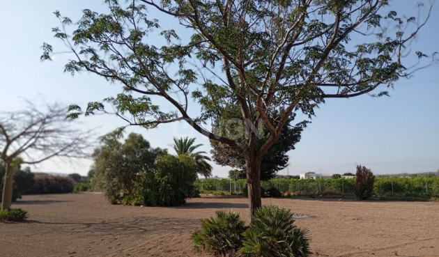 Wiederverkauf - Villa - Daya Nueva - Costa Blanca