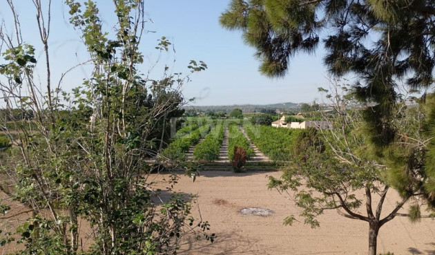 Wiederverkauf - Villa - Daya Nueva - Costa Blanca