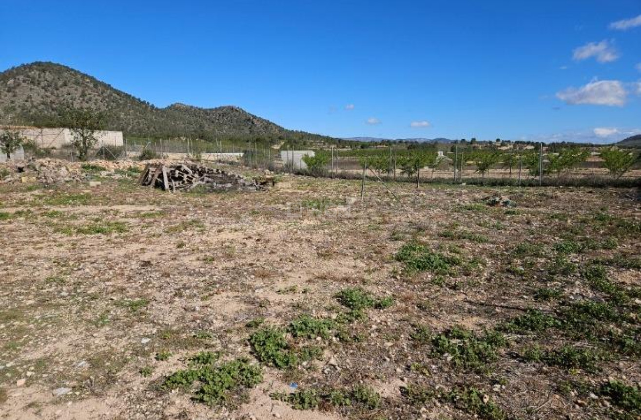 Wiederverkauf - Villa - Monóvar/Monóver - Comunidad Valenciana