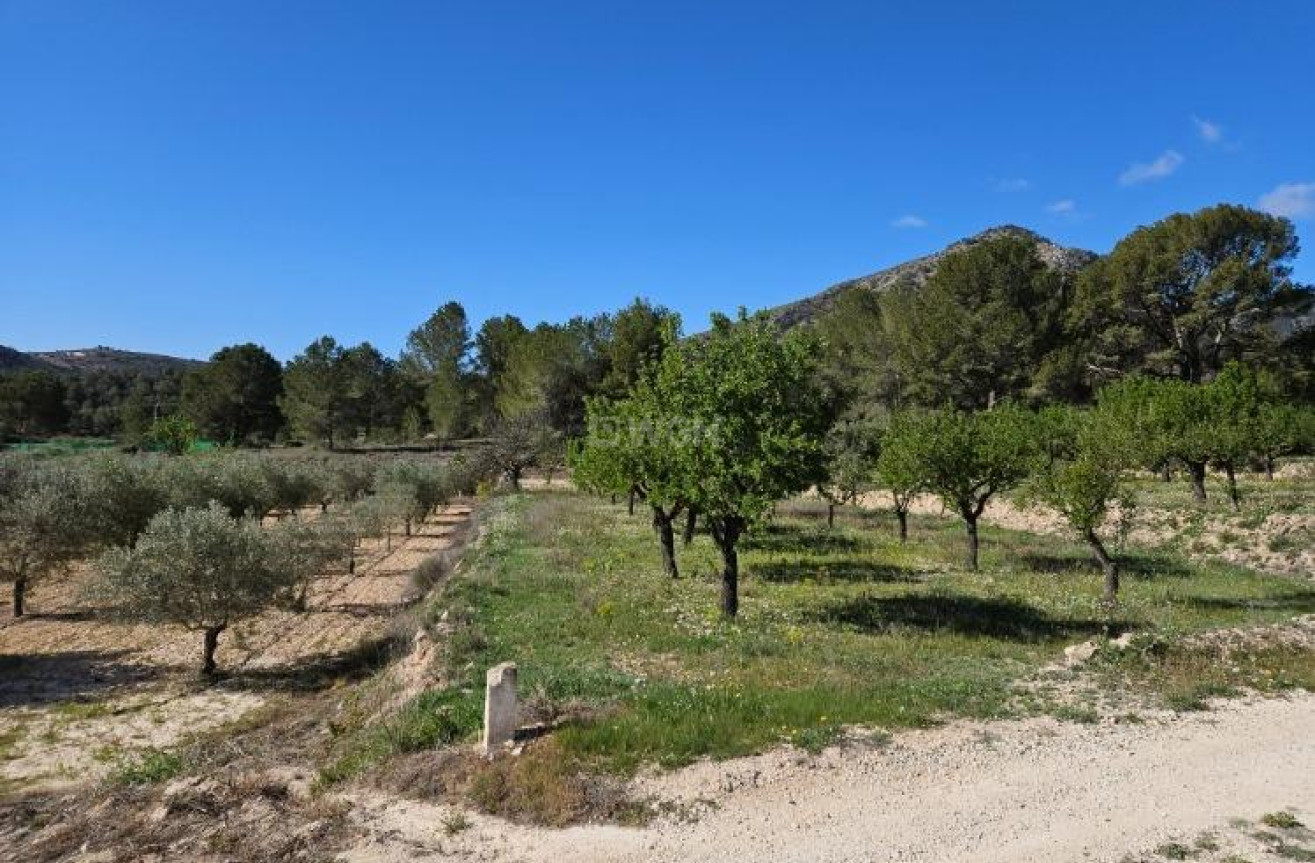 Wiederverkauf - Villa - Monóvar/Monóver - Comunidad Valenciana