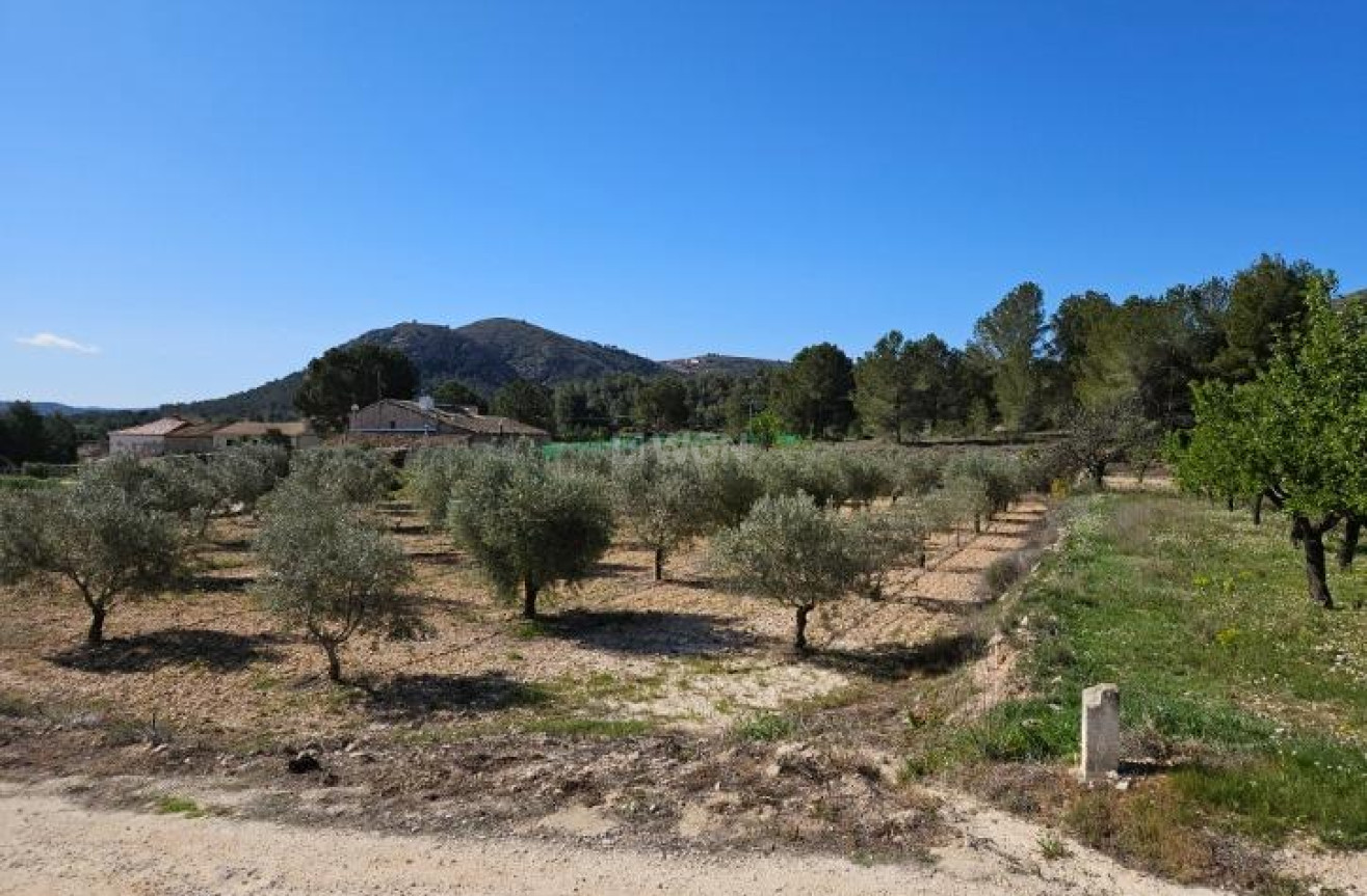 Wiederverkauf - Villa - Monóvar/Monóver - Comunidad Valenciana