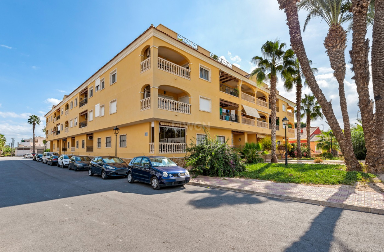 Resale - Apartment / flat - Jacarilla - Inland