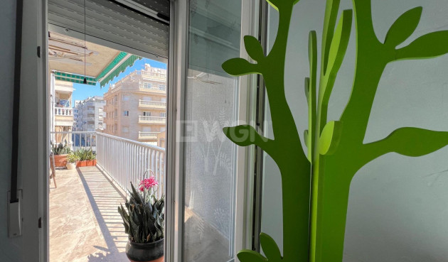 Wiederverkauf - Wohnung - Torrevieja - Estacion De Autobuses