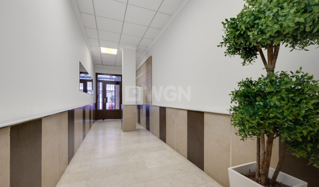 Odsprzedaż - Mieszkanie w bloku - Torrevieja - Estacion De Autobuses