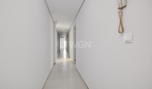 Odsprzedaż - Mieszkanie w bloku - Torrevieja - Estacion De Autobuses