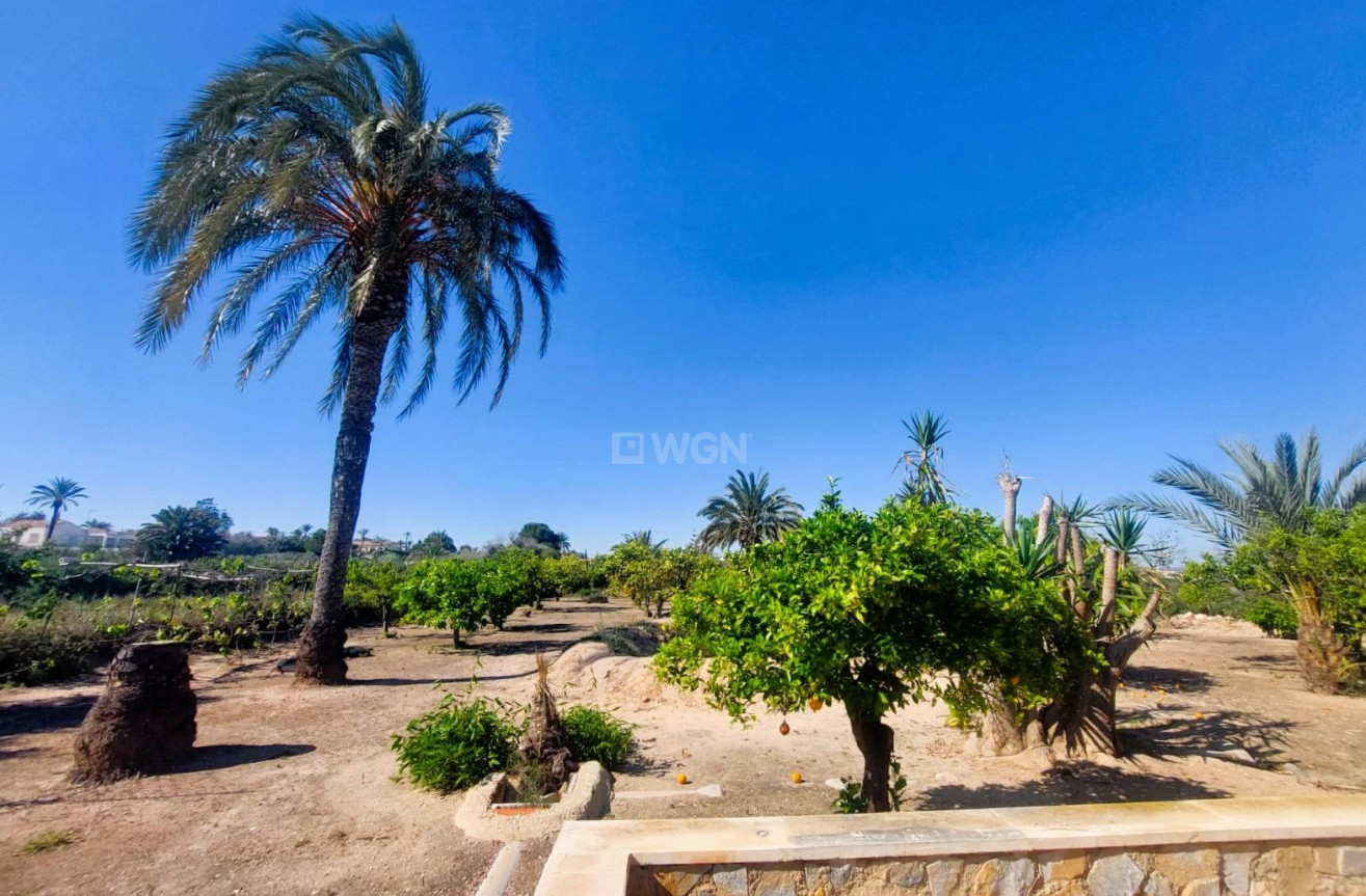 Odsprzedaż - Villa - La Marina - Costa Blanca