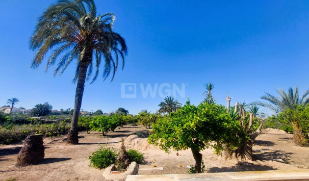 Odsprzedaż - Villa - La Marina - Costa Blanca