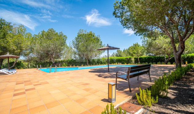 Reventa - Villa - San Miguel de Salinas - Inland