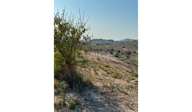 Resale - Plot / Land - Alicante - Costa Blanca