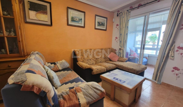 Odsprzedaż - Mieszkanie w bloku - Torrevieja - Nueva Torrevieja