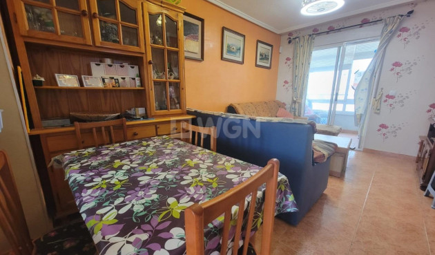 Odsprzedaż - Mieszkanie w bloku - Torrevieja - Nueva Torrevieja