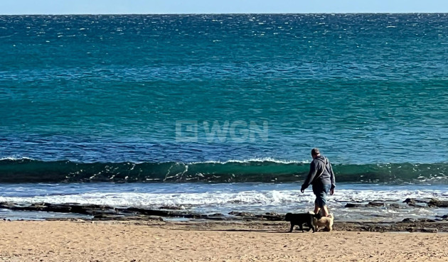 Wiederverkauf - Stadthaus - Torrevieja - La Mata