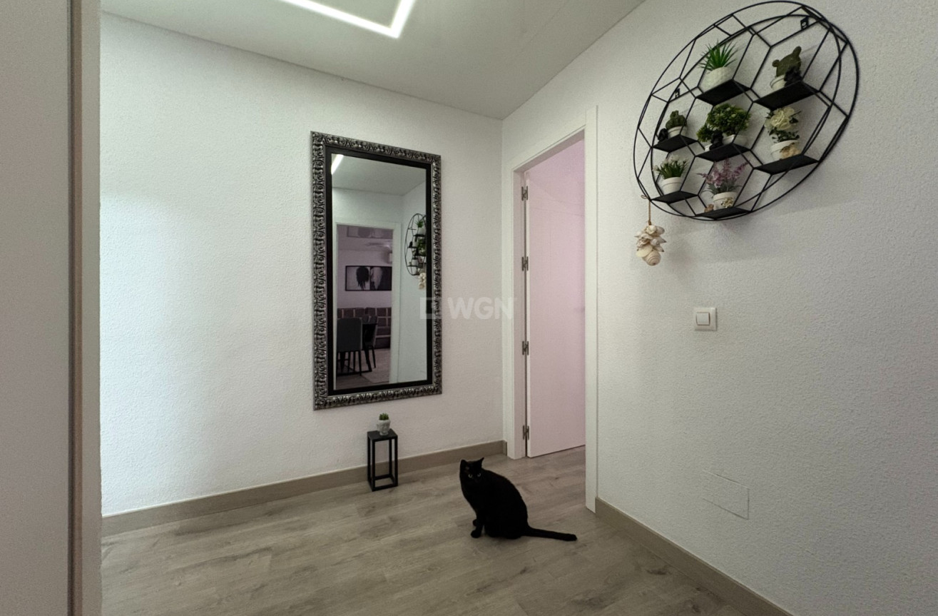 Odsprzedaż - Mieszkanie w bloku - Torrevieja - Costa Blanca