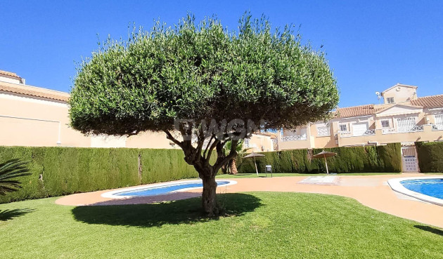 Resale - Bungalow - Torrevieja - Parque Acuático - Sector 25