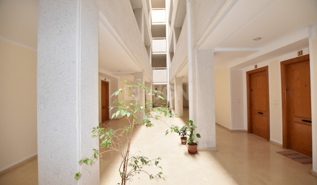 Reventa - Apartamento / piso - La Mata - Costa Blanca