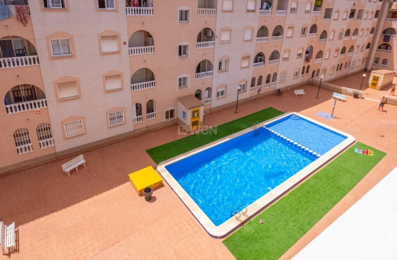 Reventa - Ático - Torrevieja - Estacion De Autobuses