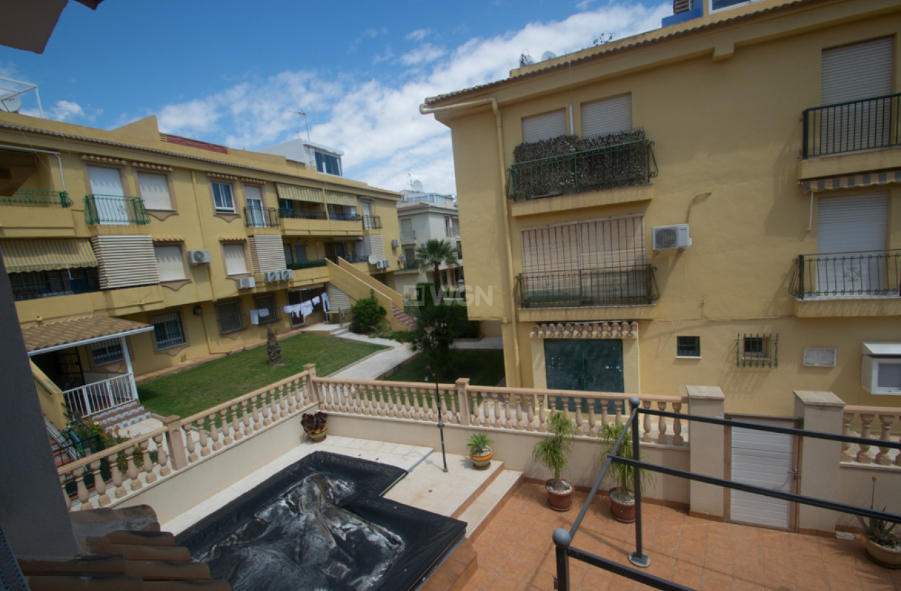 Wiederverkauf - Wohnung - Torrevieja - Costa Blanca