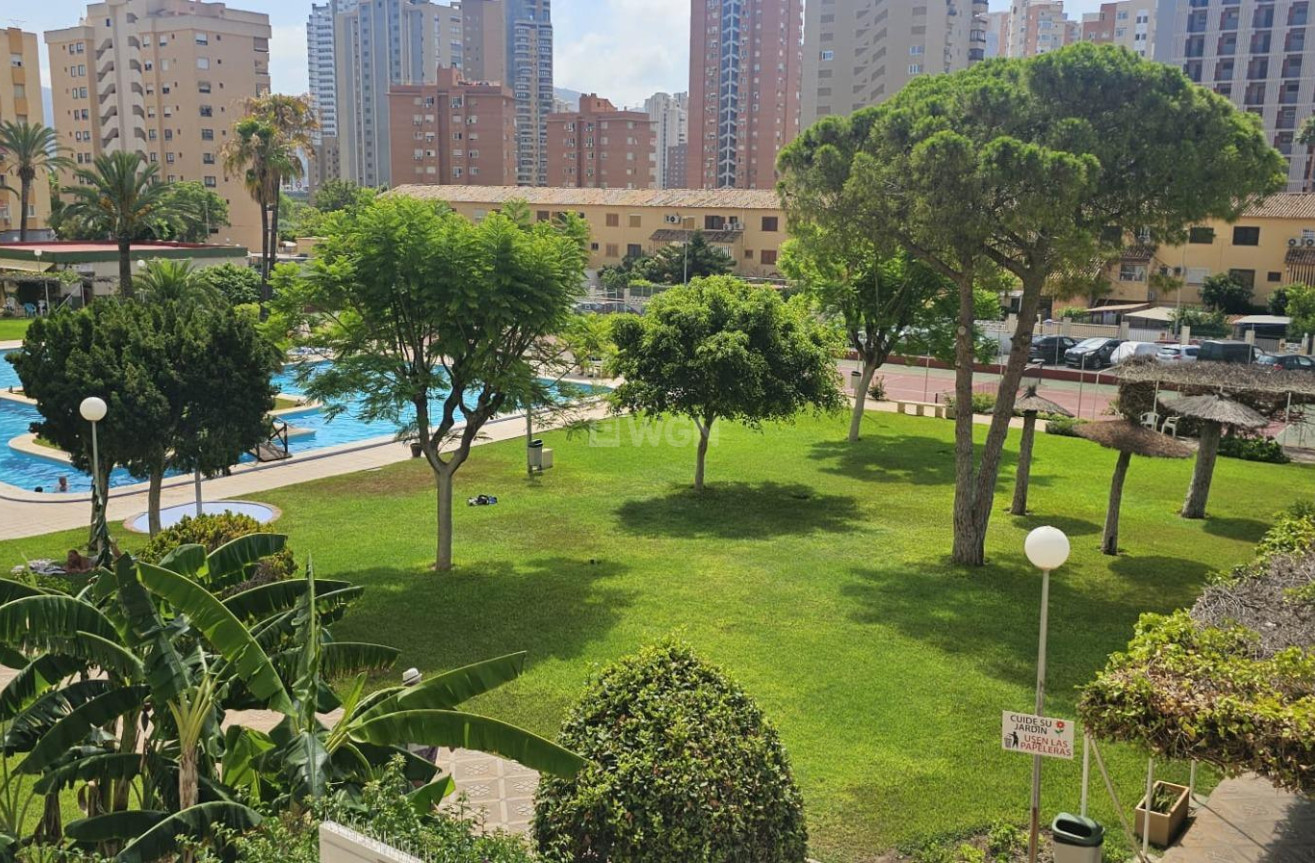 Wiederverkauf - Wohnung - Benidorm