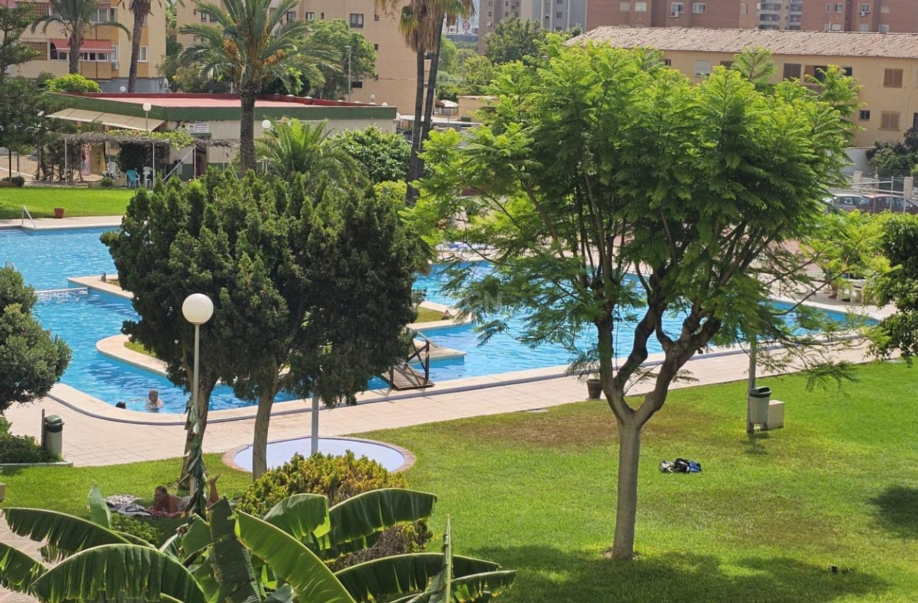 Wiederverkauf - Wohnung - Benidorm