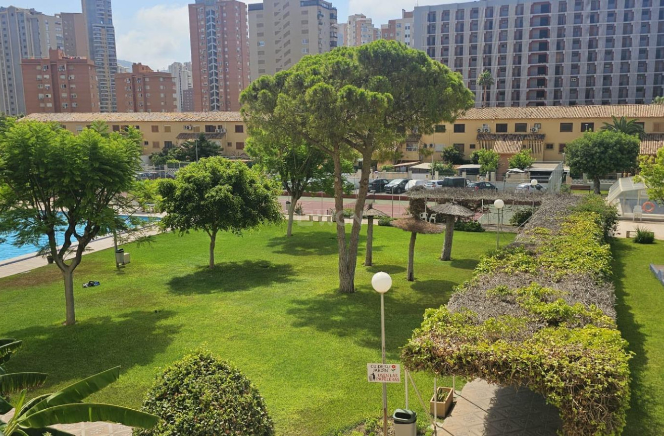 Wiederverkauf - Wohnung - Benidorm