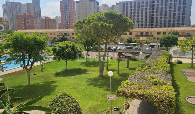 Wiederverkauf - Wohnung - Benidorm