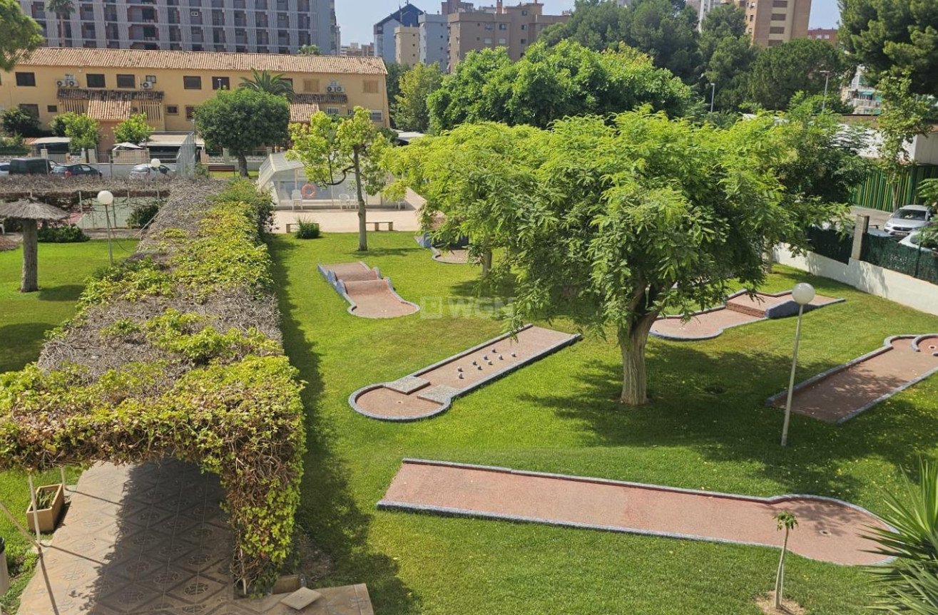 Wiederverkauf - Wohnung - Benidorm