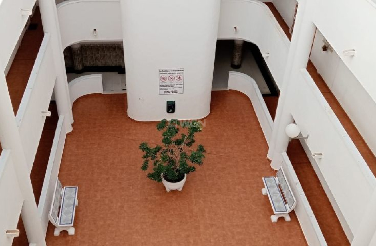 Resale - Apartment / flat - Torrevieja - Costa Blanca