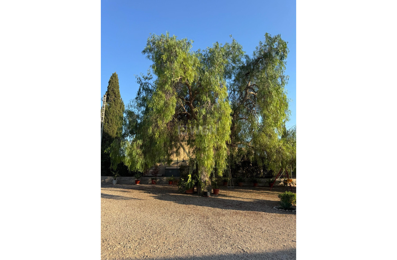 Resale - Villa - Albatera - Partida Lomas