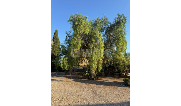 Resale - Villa - Albatera - Partida Lomas