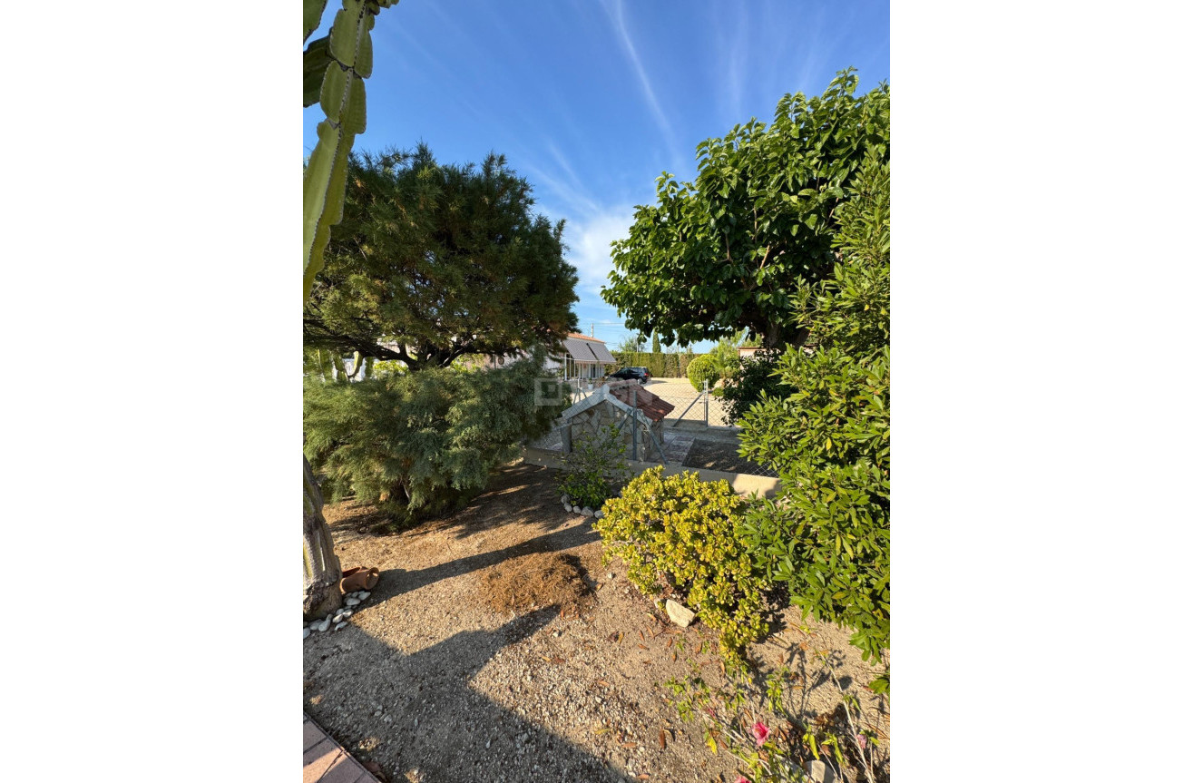 Resale - Villa - Albatera - Partida Lomas