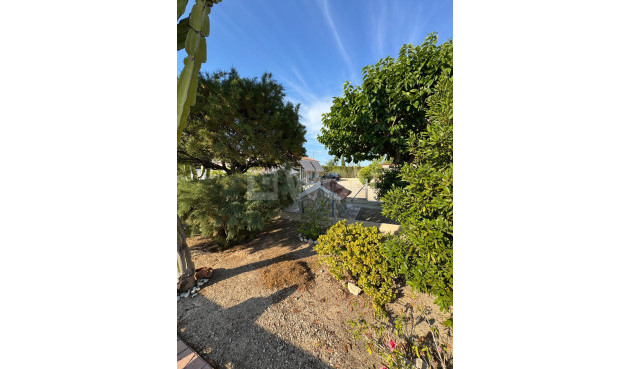 Resale - Villa - Albatera - Partida Lomas