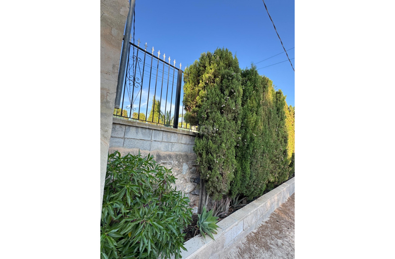 Resale - Villa - Albatera - Partida Lomas