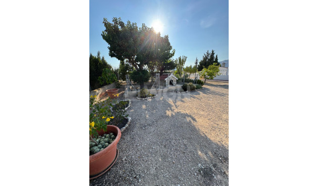 Resale - Villa - Albatera - Partida Lomas