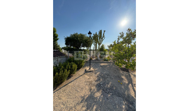 Resale - Villa - Albatera - Partida Lomas