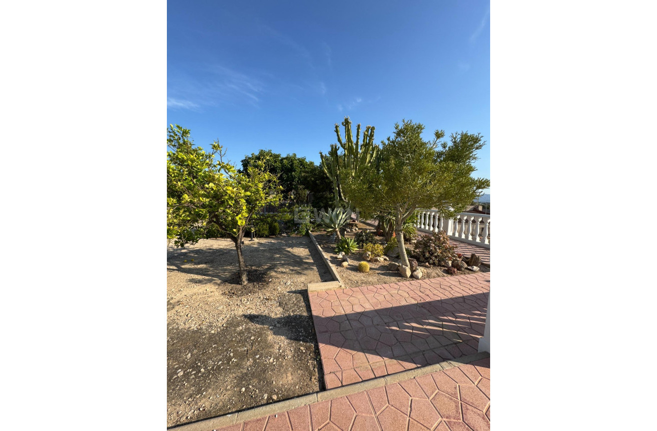 Resale - Villa - Albatera - Partida Lomas