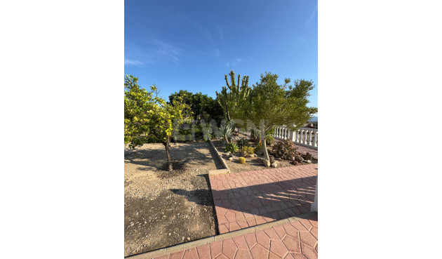 Resale - Villa - Albatera - Partida Lomas