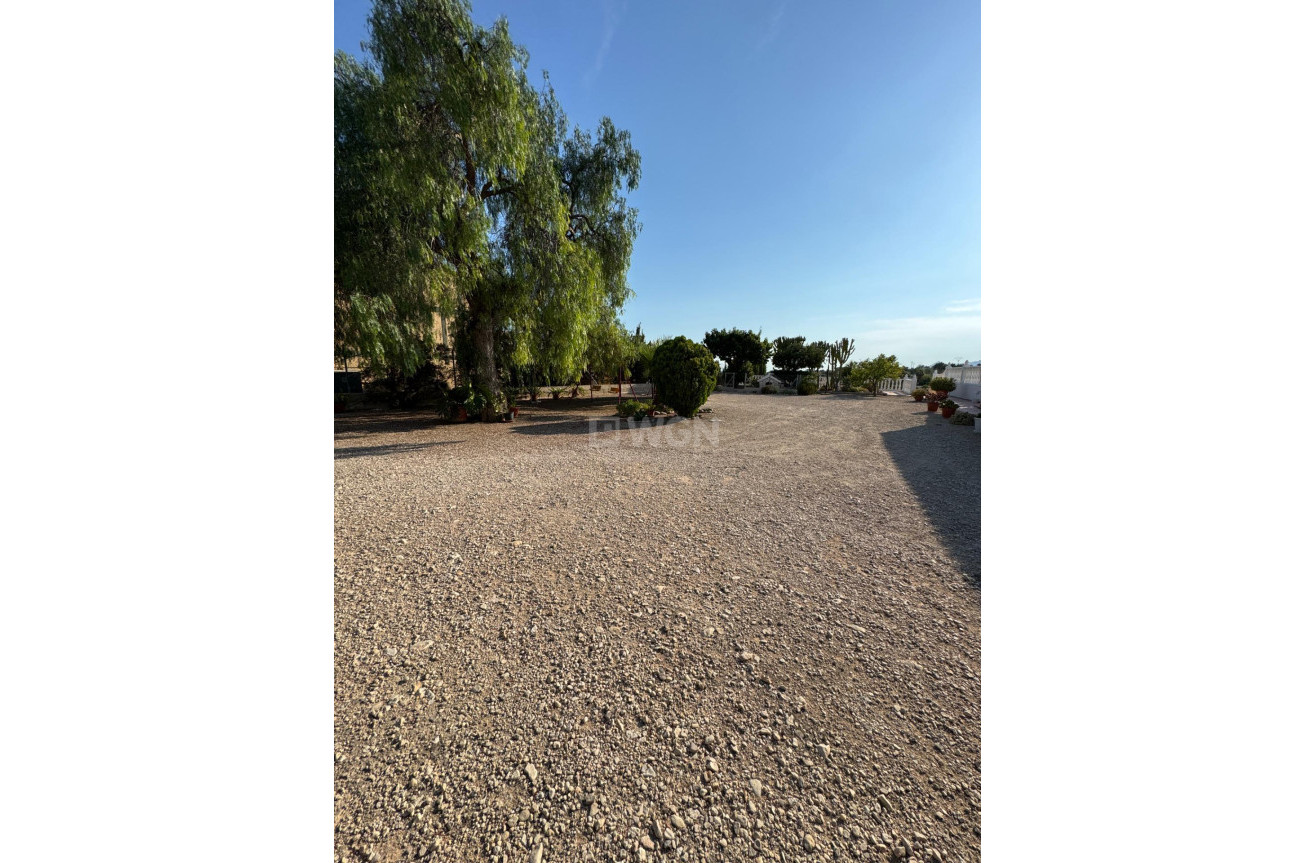 Resale - Villa - Albatera - Partida Lomas