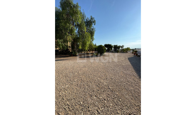 Resale - Villa - Albatera - Partida Lomas